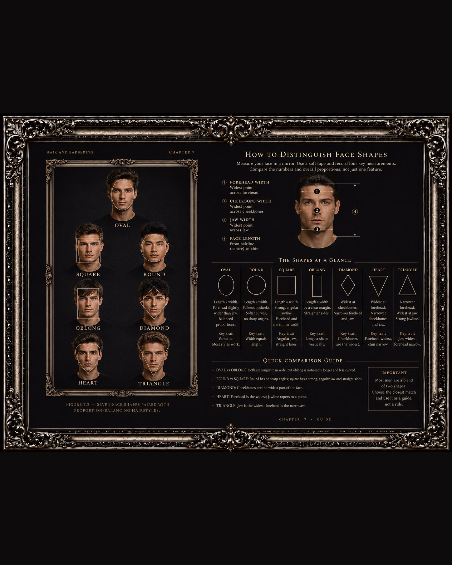 A signature infographic inside the framed plate system